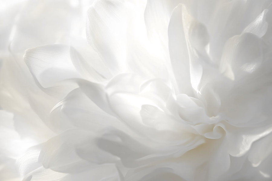 cloud-dancer-pantone-26-c cloud dancer